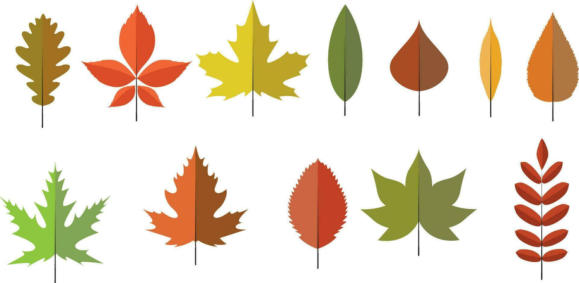 kleurrijk herfst bladeren, geïsoleerd Aan wit achtergrond. gemakkelijk tekenfilm vlak stijl, vector illustratie.