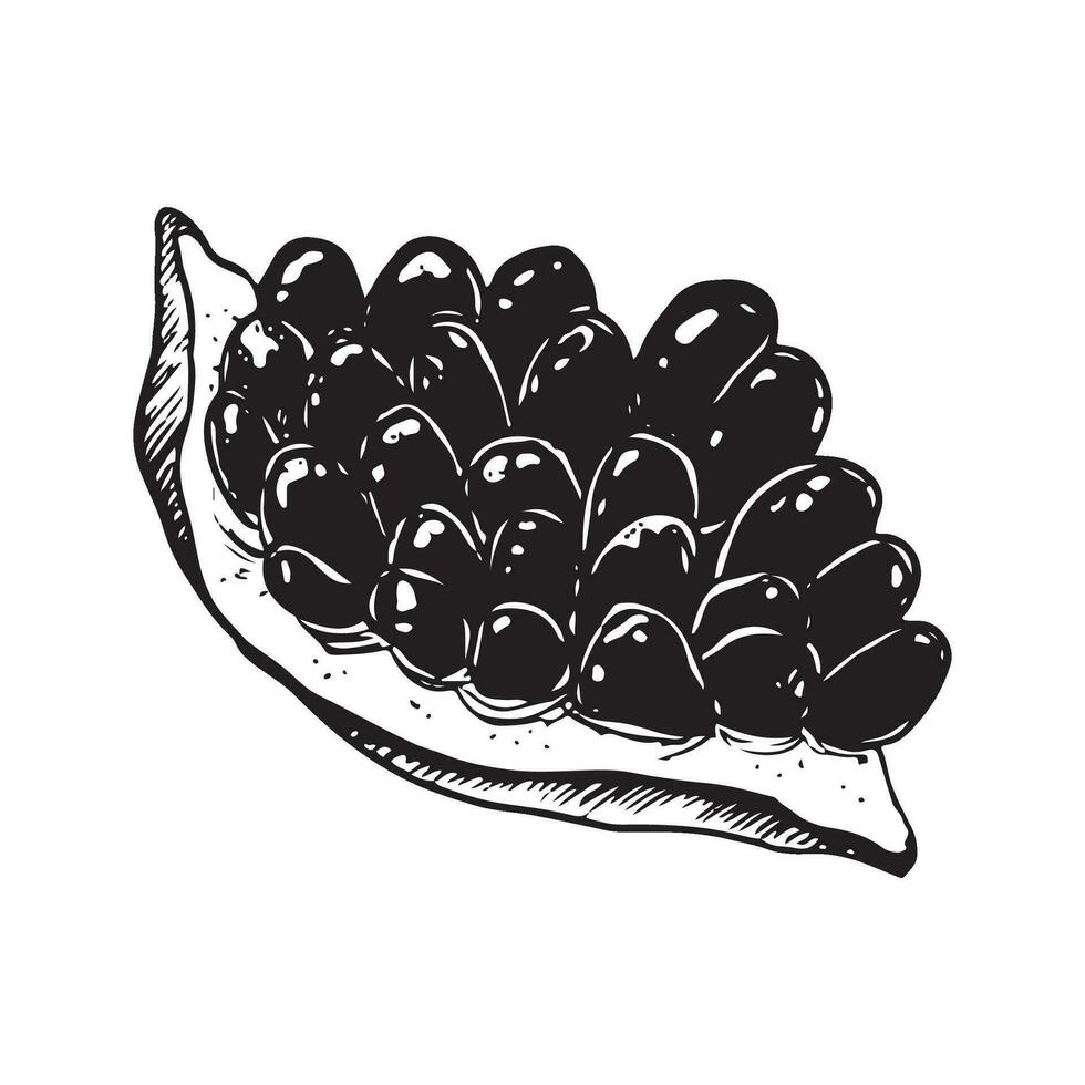 vector granaatappel stuk met zaden zwart en wit grafisch illustratie. grafisch fruit voor Joods Rosh hashanah nieuw jaar groet ontwerpen