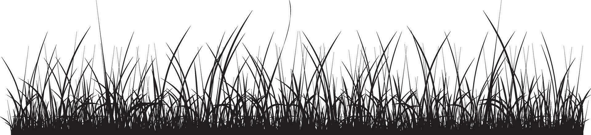 vector monochroom gras. stoeprand van de schaduwen van de overstromingen. veld- silhouet