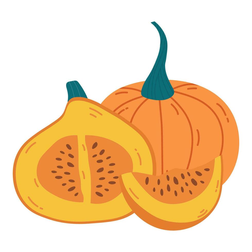 oranje rijp pompoen geheel en plak met zaden. hand- tekening pompoen samenstelling vector illustratie. elementen voor herfst decoratief ontwerp, halloween uitnodiging, oogst dankzegging.