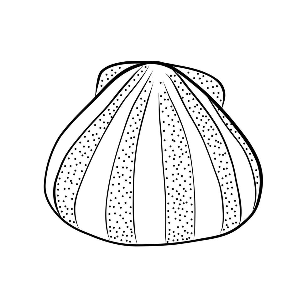 zee schelp in tekening stijl vector