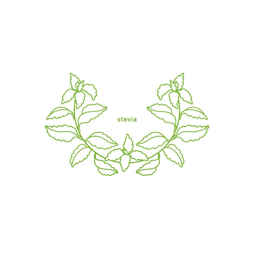 stevia gemakkelijk symbool. vector tak, suiker blad