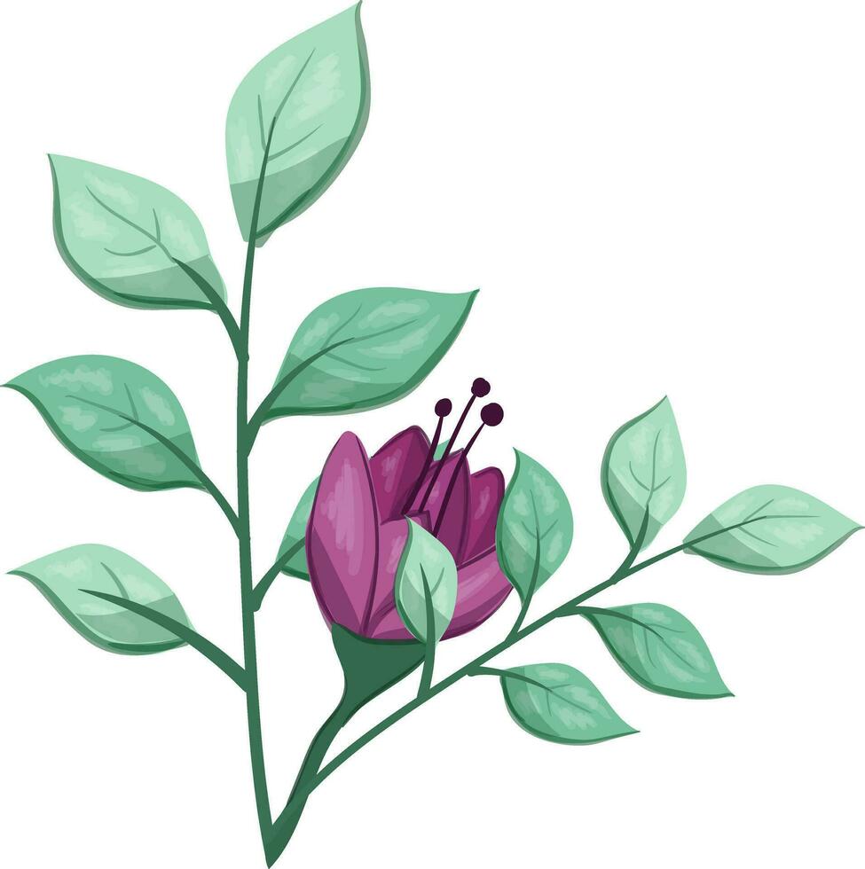 illustratie van een Purper bloem met groen bladeren Aan een wit achtergrond vector