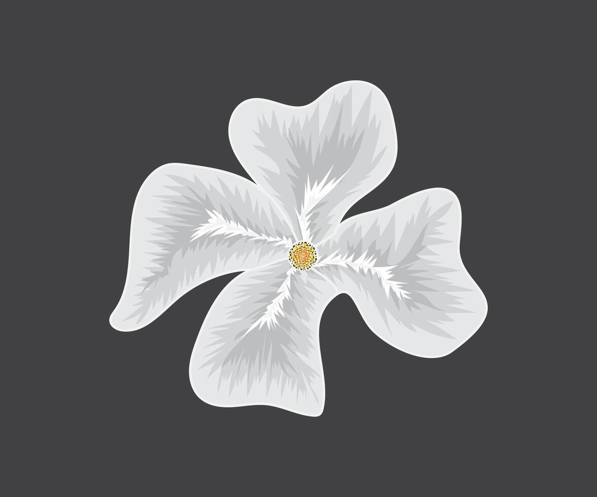 wit bloem kunst met vector illustratie