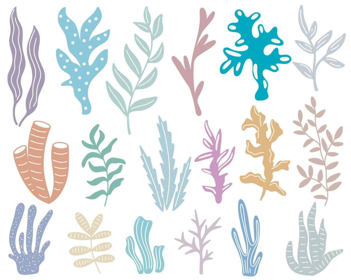 hand- getrokken zeewier en onderwater- planten reeks vector