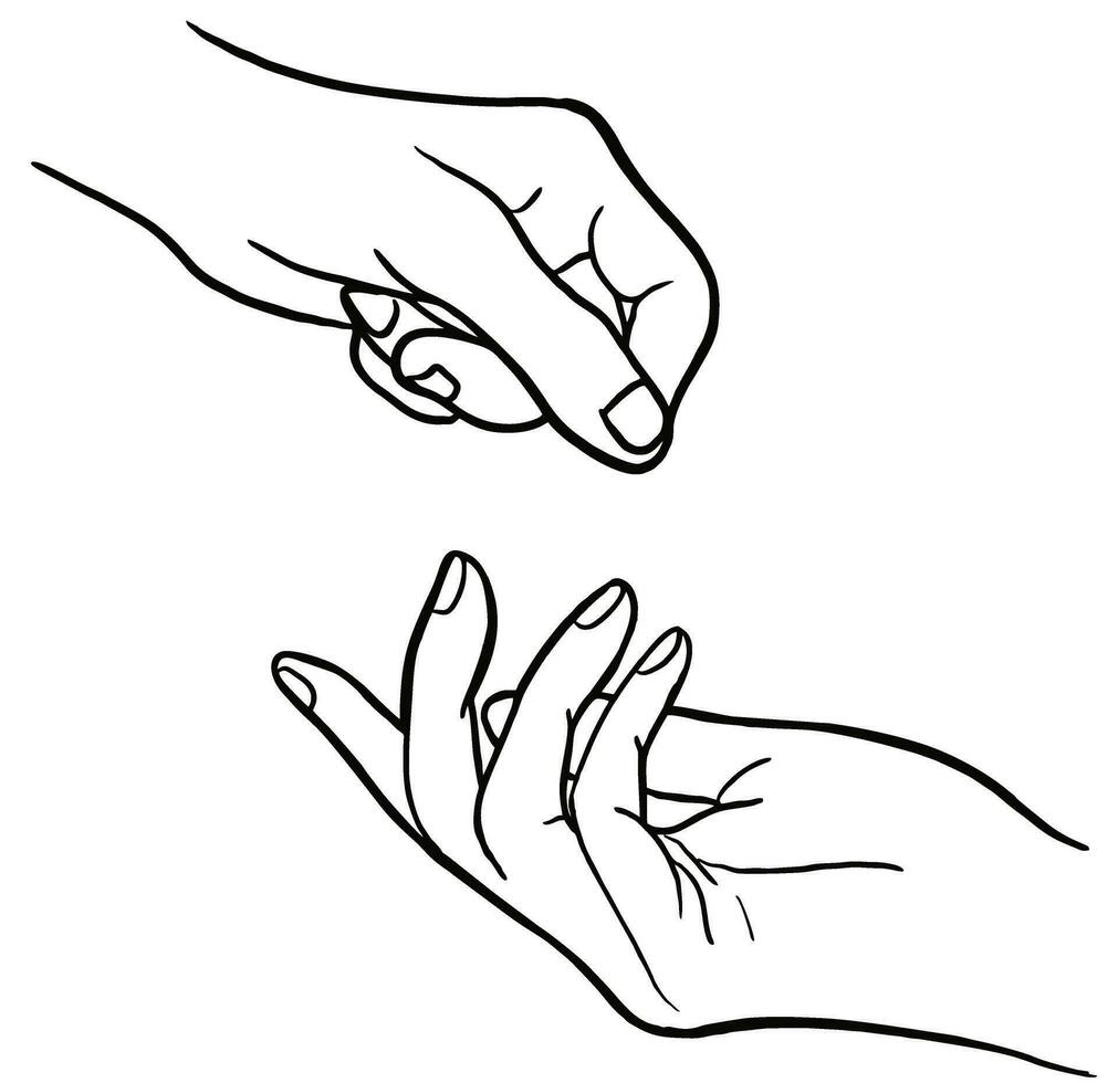 hand- anatomie vector