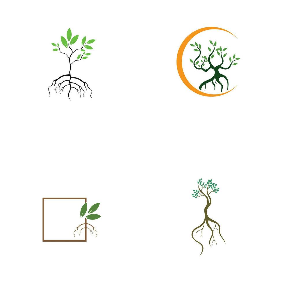 mangrove logo symbool vector