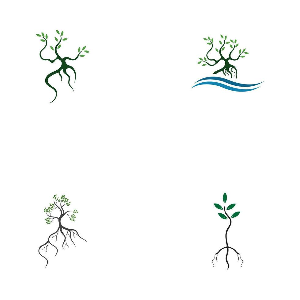 mangrove logo symbool vector