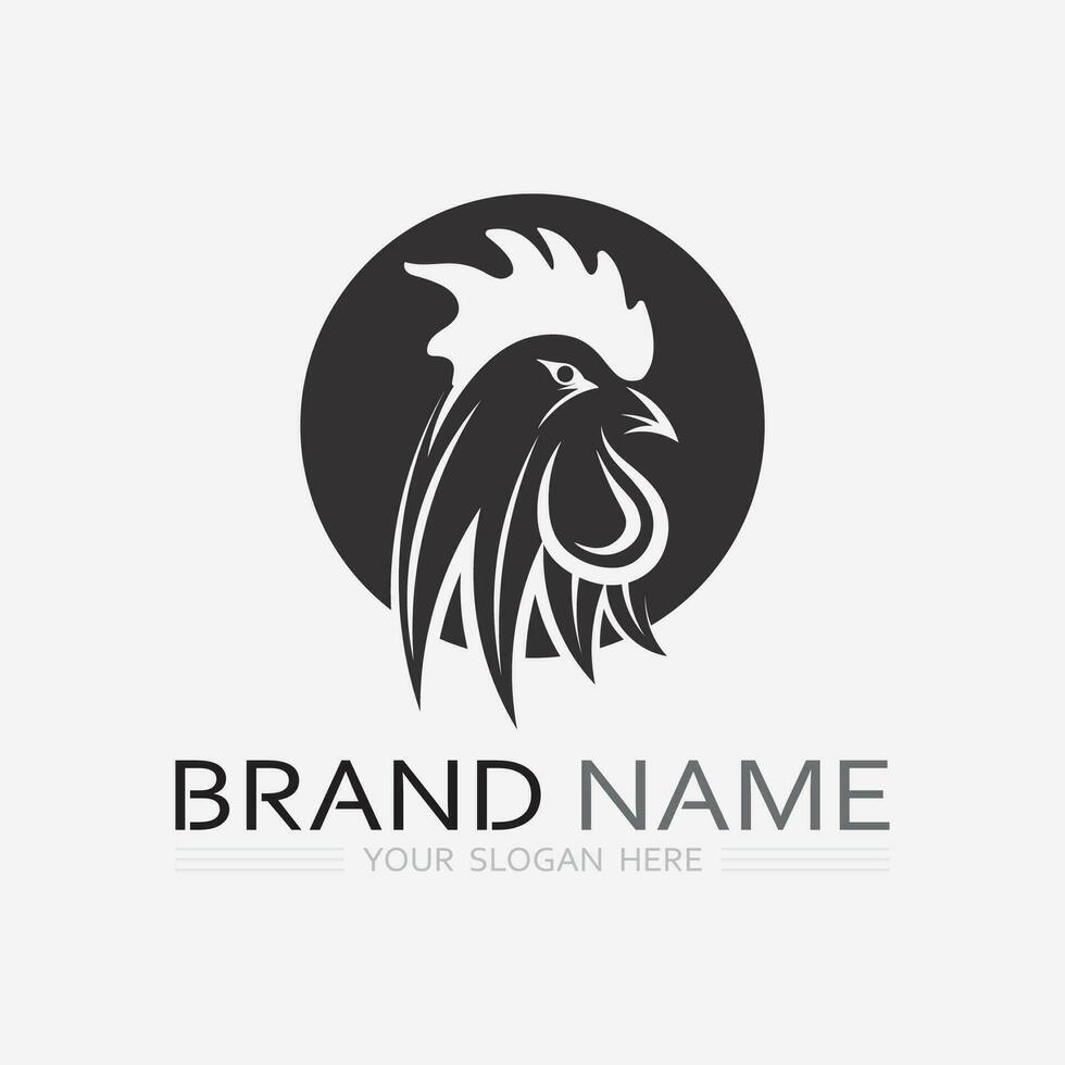 kip logo haan en kip logo voor gevogelte landbouw dier logo vector illustratie ontwerp