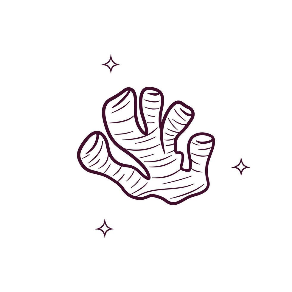 hand- getrokken gember. tekening vector schetsen illustratie