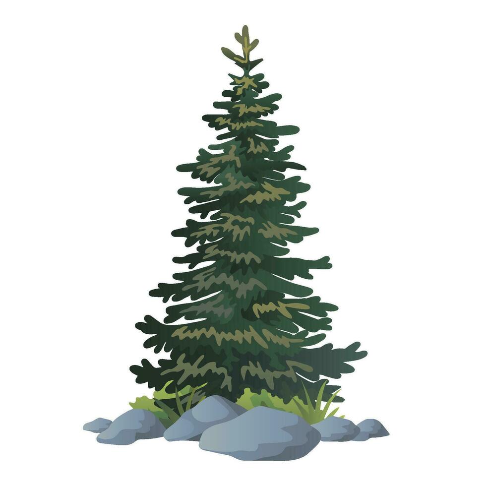illustratie van dennenboom vector met wit achtergrond