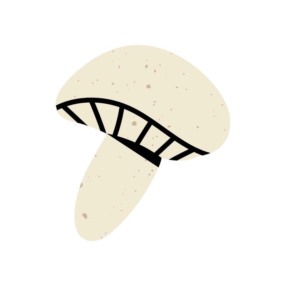 schattig tekenfilm champignon. eetbaar smakelijk rijp paddestoel plakjes, heerlijk rauw champignon champignons vector illustratie. vers champignon. rijp groente paddestoel naar aan het eten, vegetarisch fijnproever