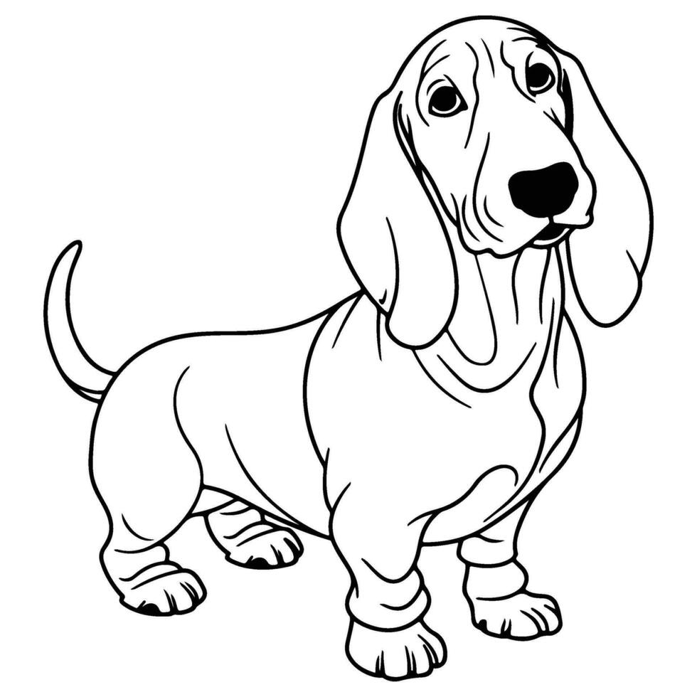 basset hond, hand- getrokken tekenfilm karakter, hond icoon. vector