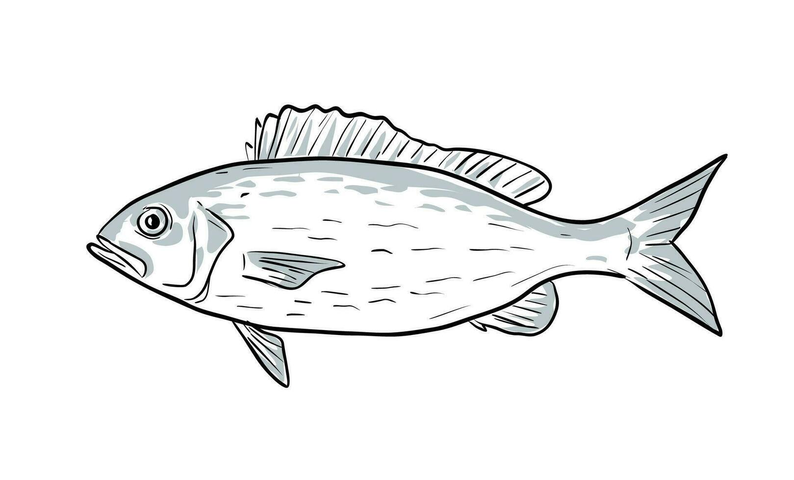 vermiljoen snapper vis golf van Mexico tekenfilm tekening vector
