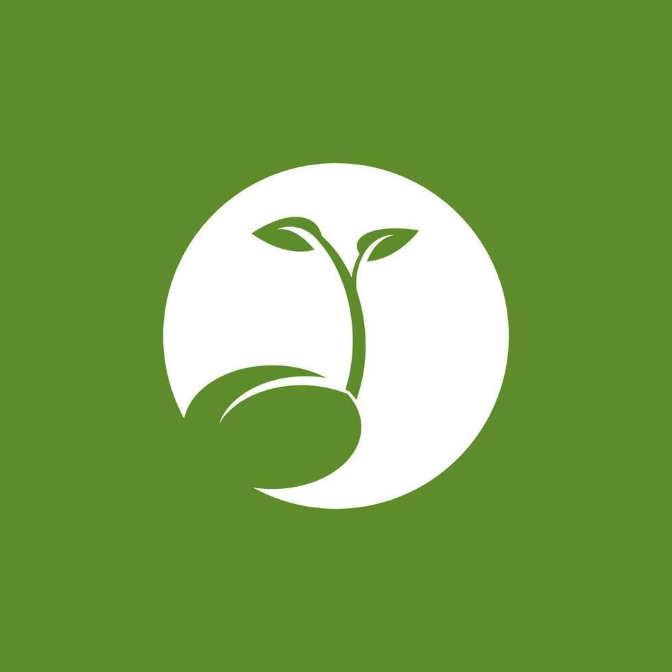 zaden natuur logo vector sjabloon illustratie