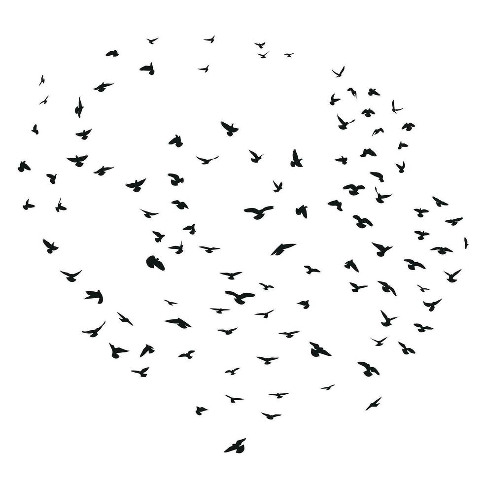 schetsen tekening van een silhouet van een kudde van vogelstand vliegend naar voren, vastklampen samen. opstijgen, vliegen, vlucht, fladderen, zweven, stijgende, landen vector