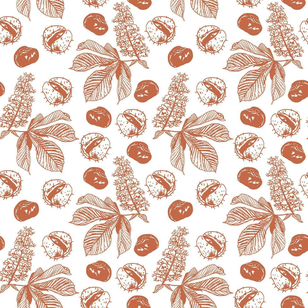 bladeren, bloem en fruit van kastanje. vector naadloos patroon van kastanje fabriek in grafisch stijl. ontwerp element voor omhulsel papier, textiel, dekt.