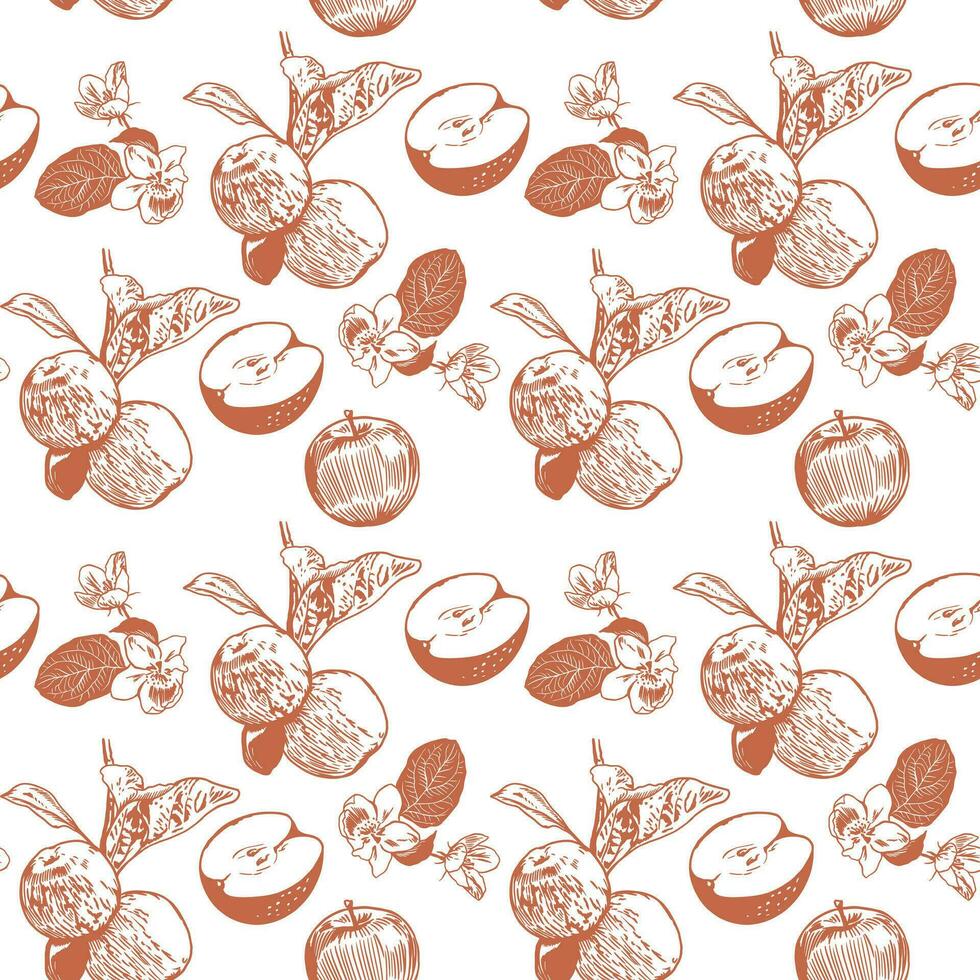 appels Aan een Afdeling met bladeren, geheel en snee. vector patroon met appels Aan een wit achtergrond. ontwerp voor dekt, textiel, omhulsel papier, kleren.