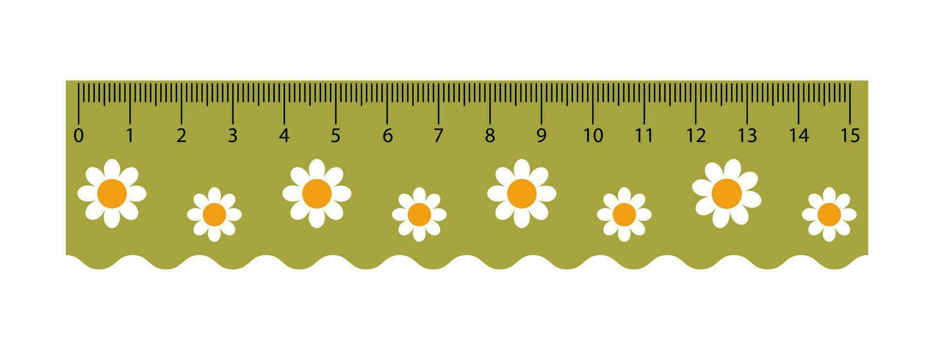 vector groen meten heerser met kamille bloemen. leerling meten hulpmiddel. schattig school- heerser met Golf kant. centimeter schubben.