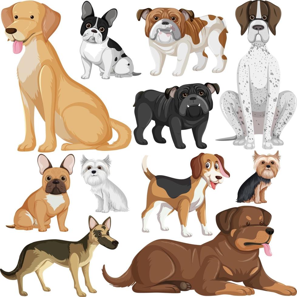 naadloos patroon met veel verschillende schattige honden vector