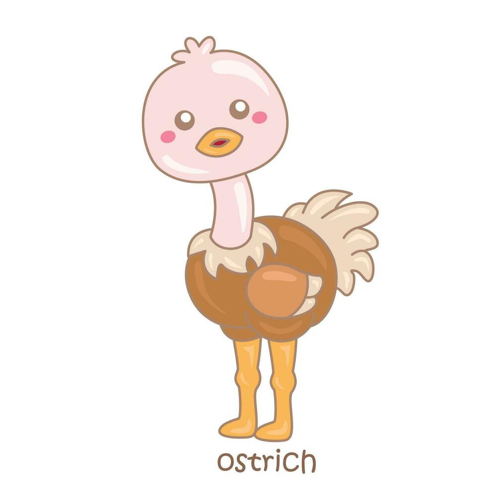 alfabet O voor struisvogel woordenschat school- les tekenfilm illustratie vector clip art sticker
