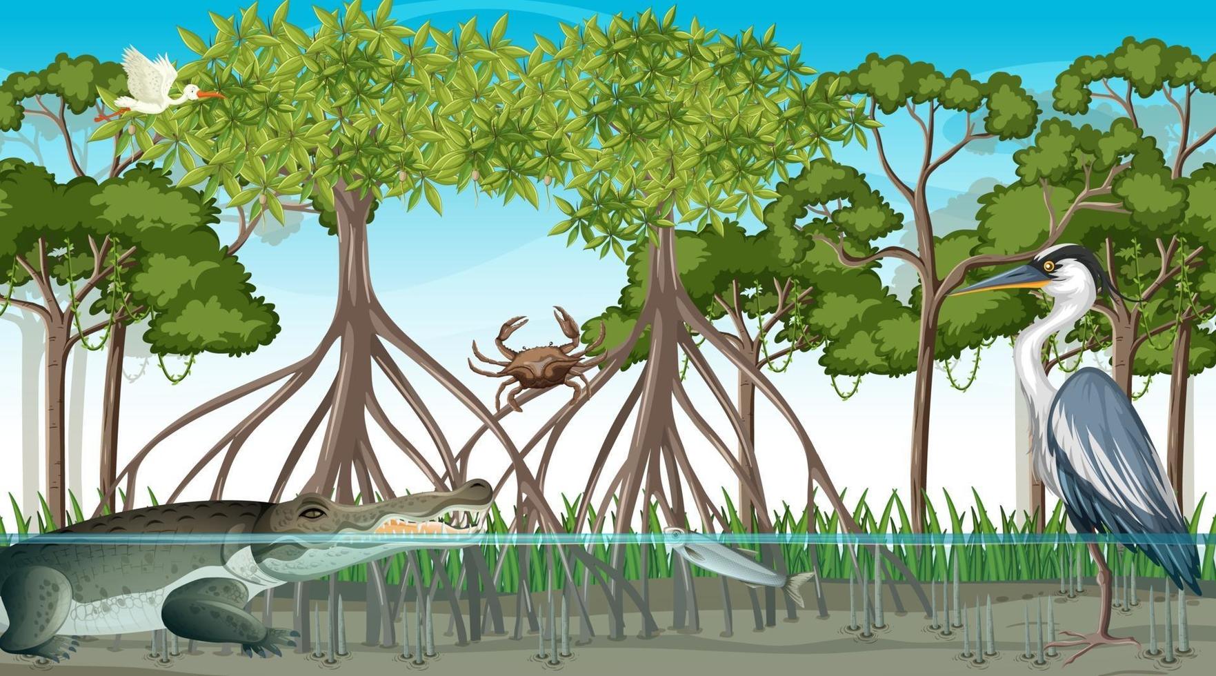 mangrovebosscène met verschillende dieren vector