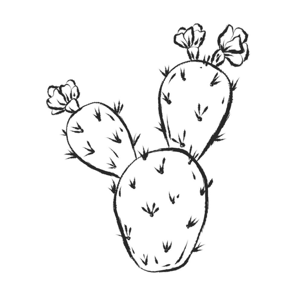 hand- getrokken zwart kleur bloeiend cactus vector