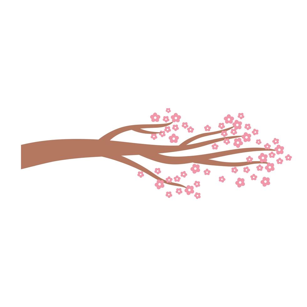 sakura tak boom bloemen oosters element decoratie kleur ontwerp vector