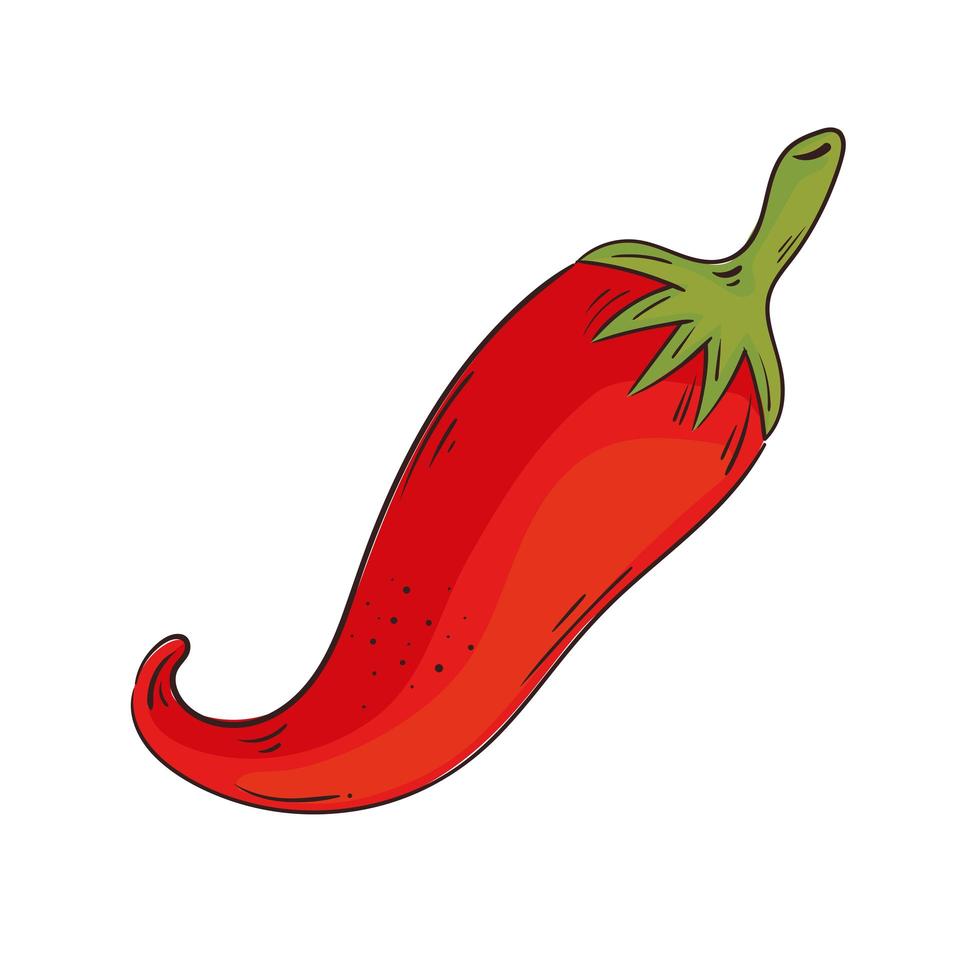 chili peper groente vector