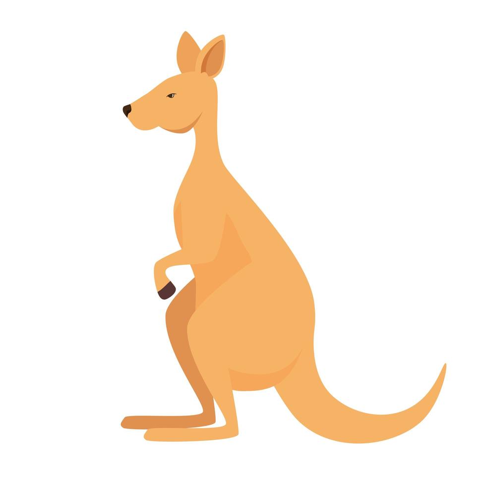 kangoeroe Australisch dier wild karakter vector