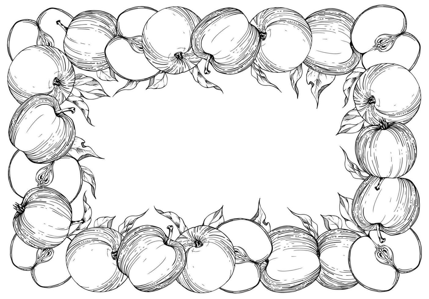 hand- getrokken inkt appel fruit, rijp vol en plakjes, monochroom vector, gedetailleerd schets. plein kader samenstelling. geïsoleerd voorwerp Aan wit achtergrond ontwerp voor muur kunst, bruiloft, afdrukken, kleding stof, kaart. vector