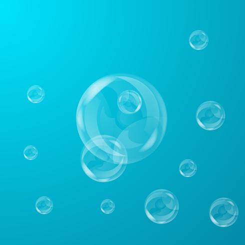 bubbels vector