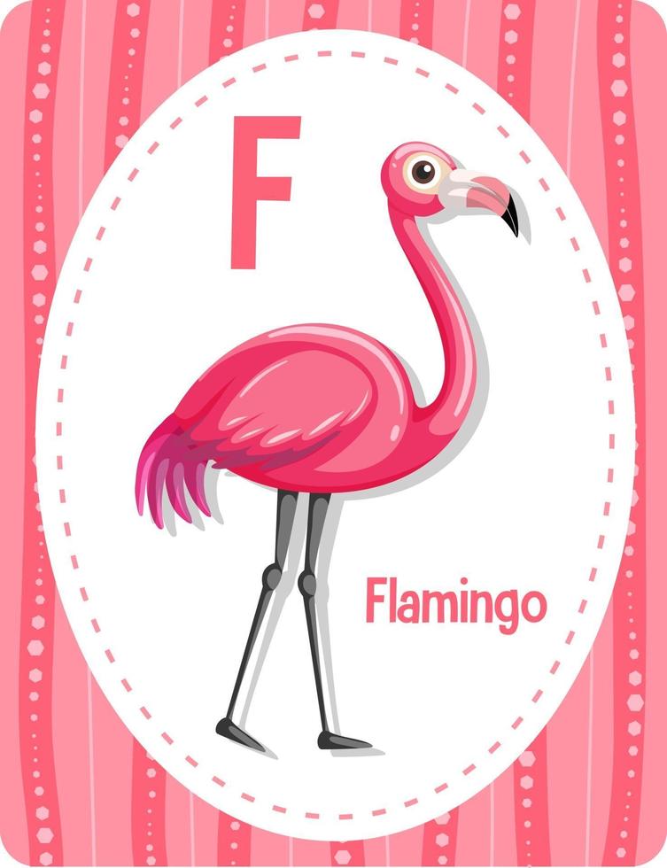 alfabet flashcard met letter voor flamingo vector