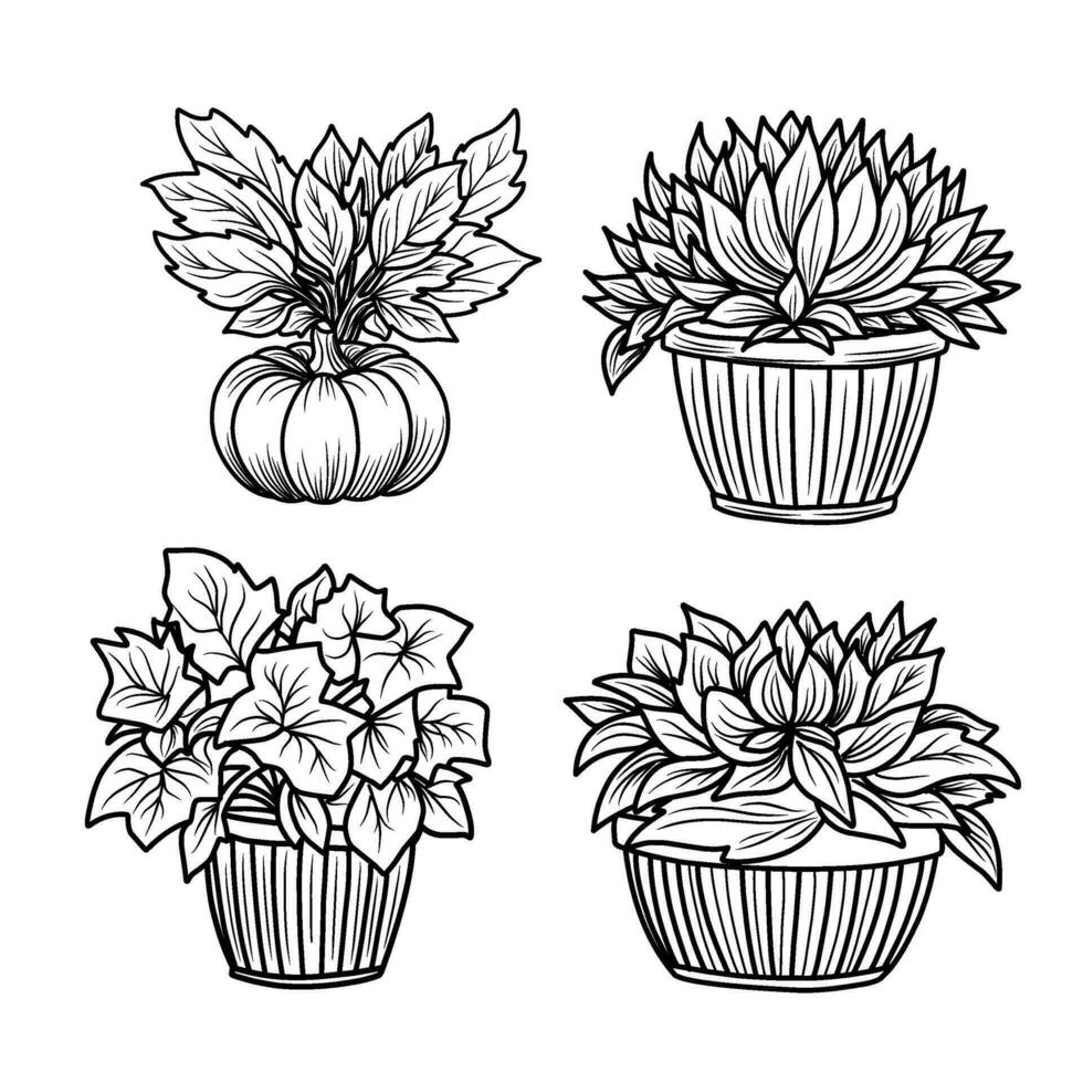 reeks van herfst kleur Pagina's met pompoenen en zonnebloemen.herfst humeur zwart en wit lineair illustratie. vector