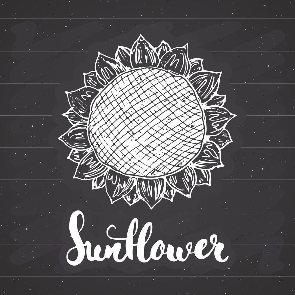 zonnebloem schets, vintage label, hand getrokken grunge getextureerde badge, retro logo sjabloon, typografie ontwerp vectorillustratie vector