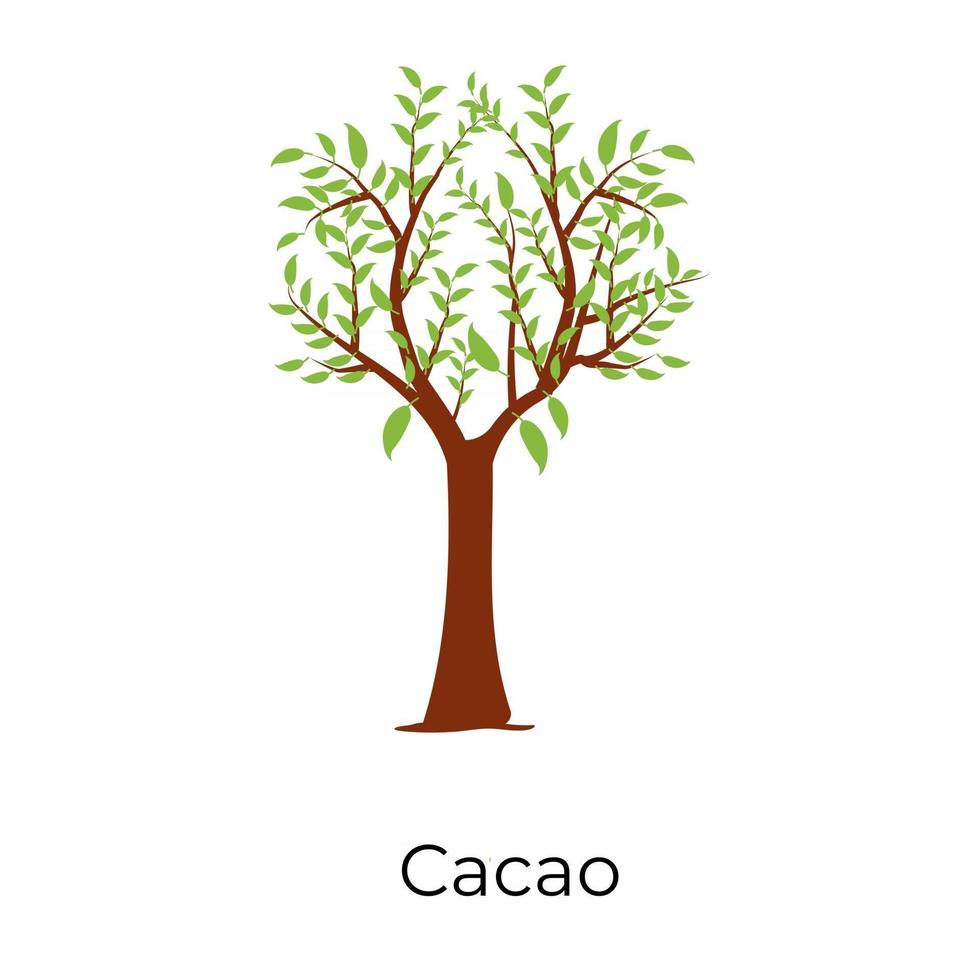 cacaoboom ontwerp vector