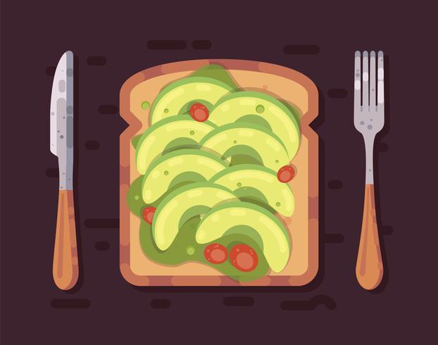 avocado toast vector