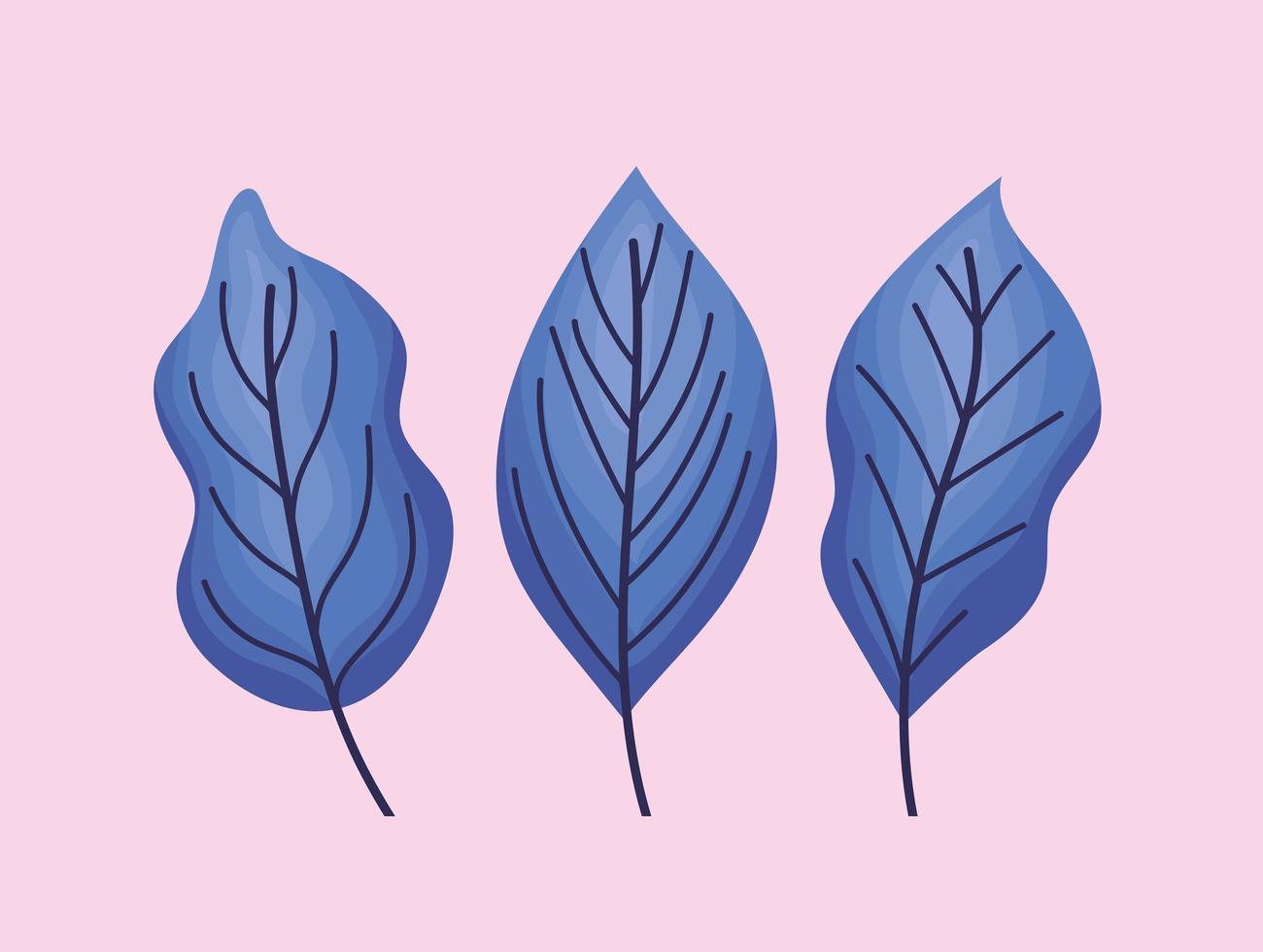 drie blauwe bladeren vector