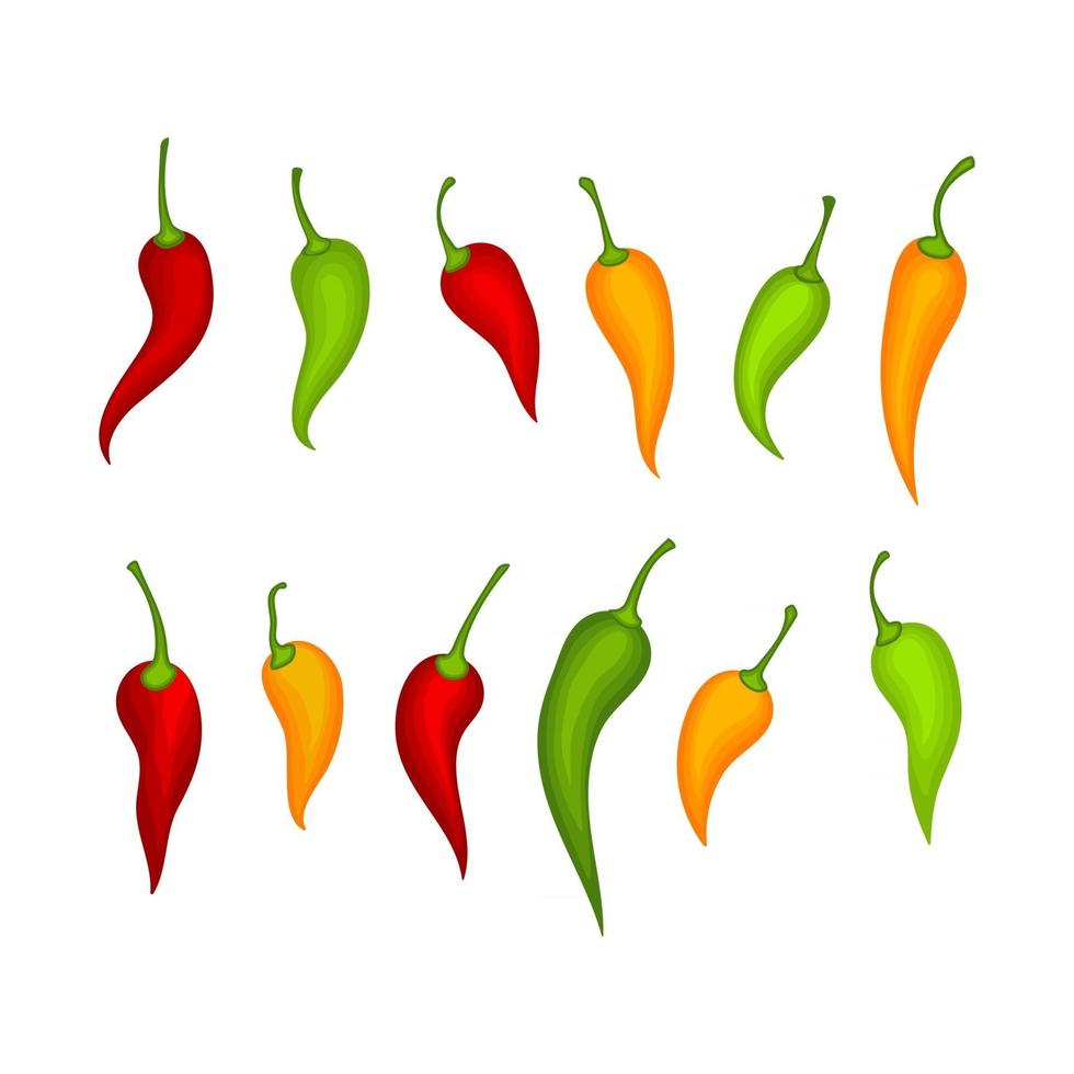 rode hete natuurlijke chili pictogram vectorillustratie vector