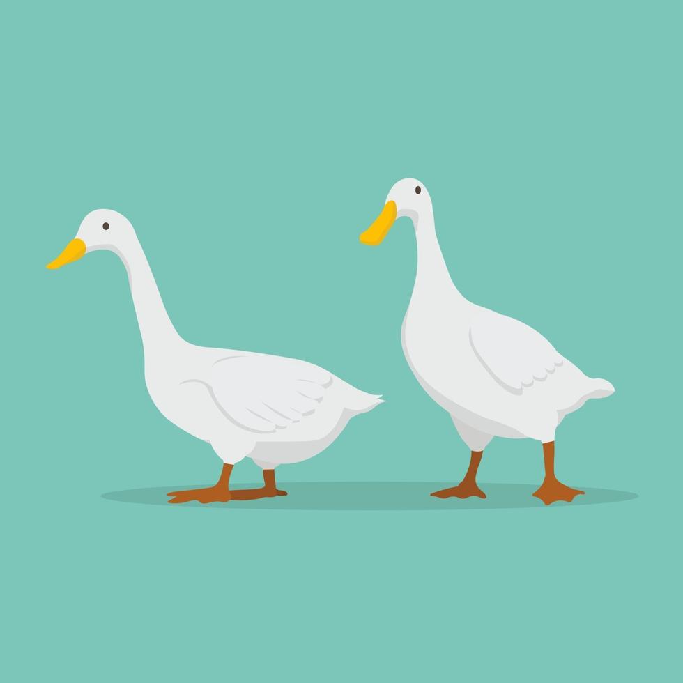 eend cartoon set vector illustration.cute witte eenden farm.goose staande met blauwe achtergrond