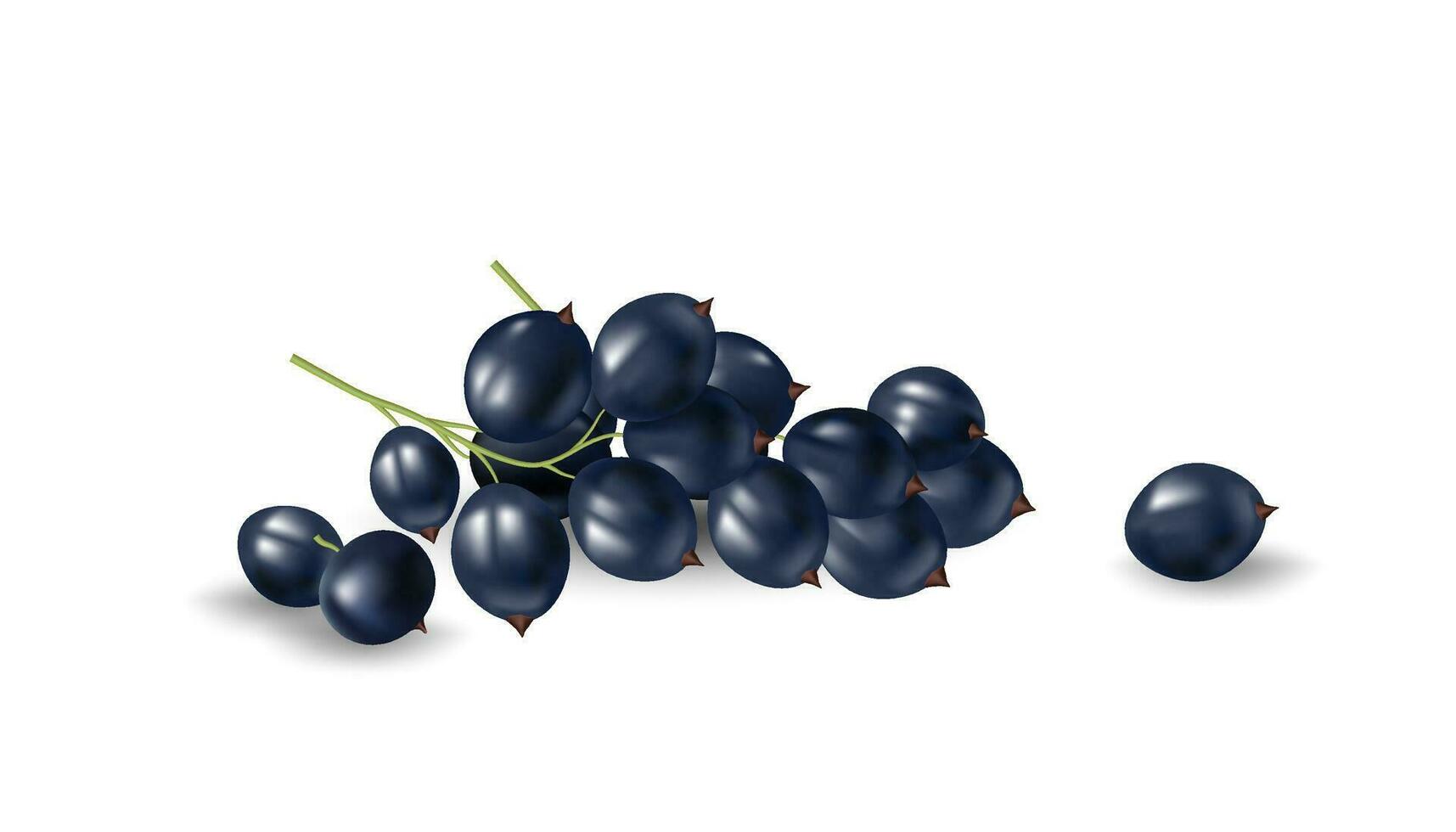 3d vector illustratie van vers en rijp zwarte bessen. geïsoleerd Aan een wit achtergrond, deze realistisch beeld is perfect voor ontwerpen verwant naar landbouw, natuur, en gezond voedsel.