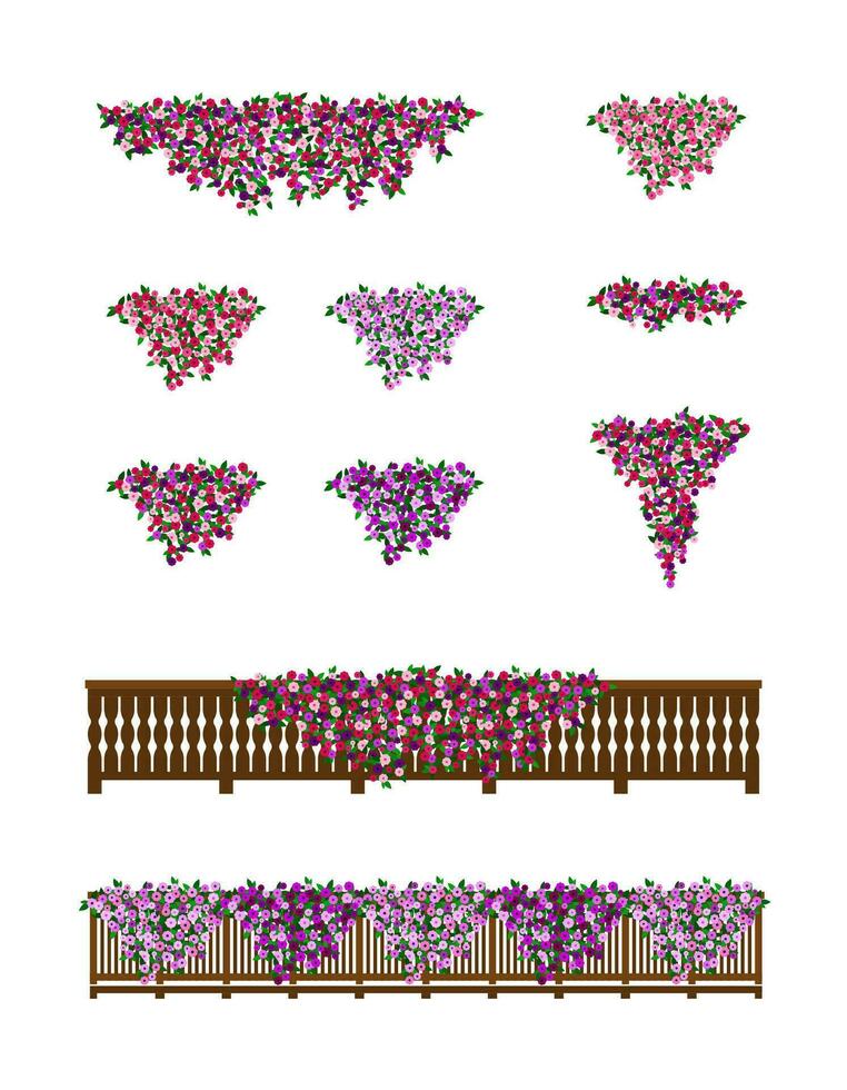 struiken van petunia bloemen voor balkons. vector