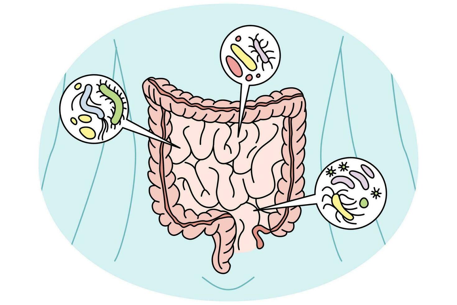spijsvertering kanaal met bacterie binnen. persoon spijsvertering organen darmen met virus. gezondheidszorg en darm. vector illustratie.