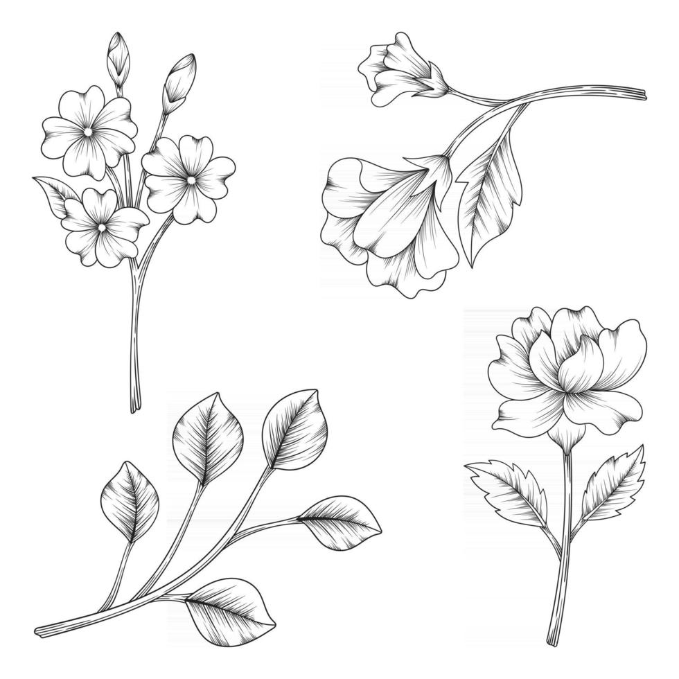 hand getrokken mooie kruiden en wilde bloemen en bladeren geïsoleerd op een witte achtergrond vector