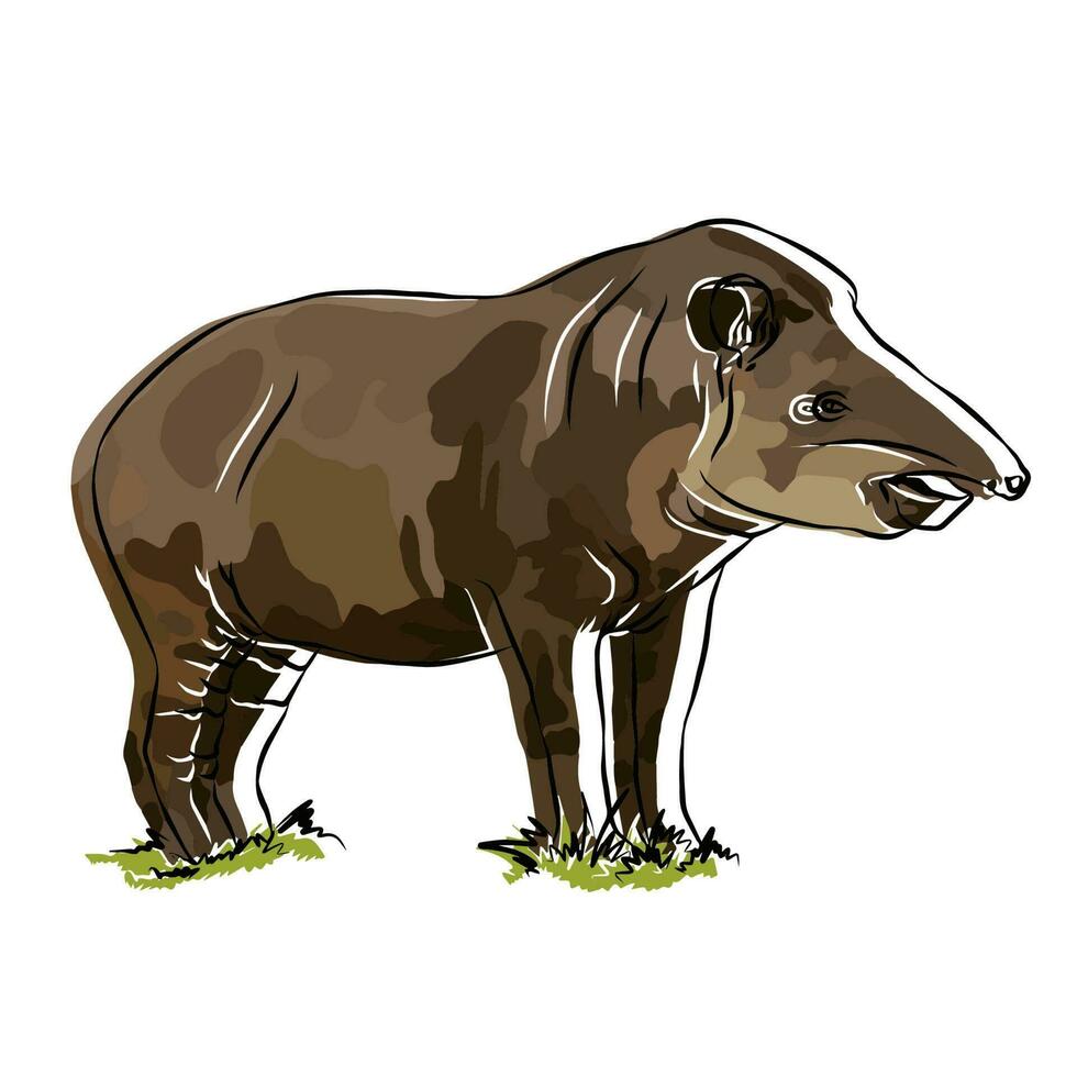 berg tapir afbeelding, zijn afbeelding zo mooi. vector