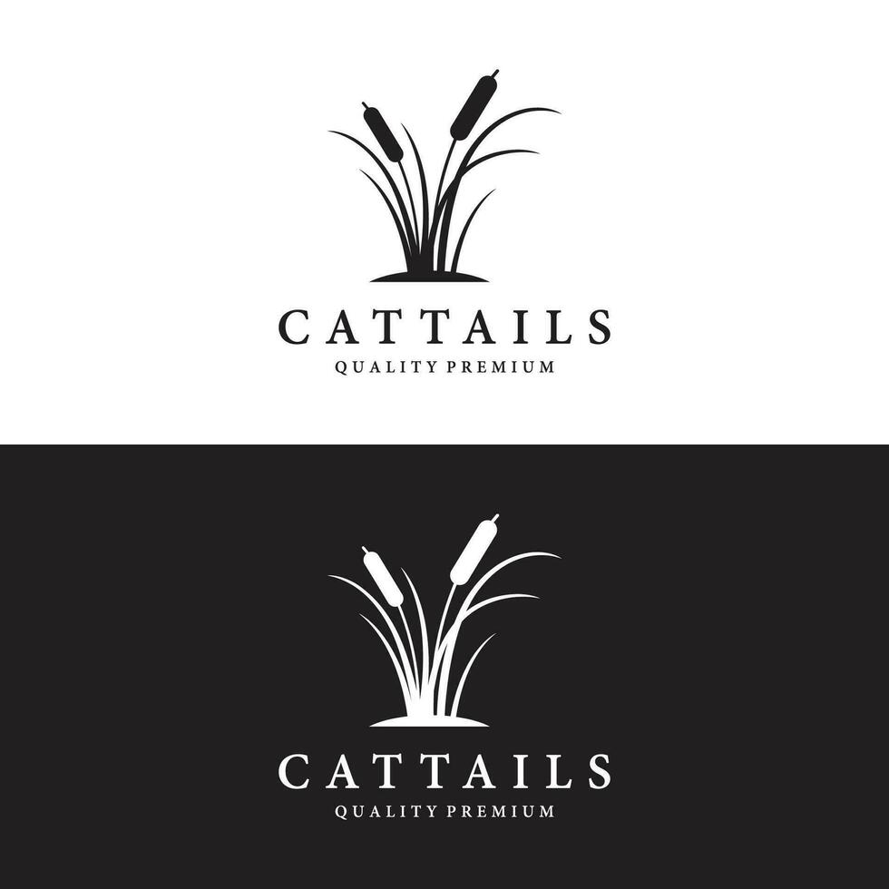 cattails of riet rivier- gras fabriek logo sjabloon ontwerp premie kwaliteit. vector