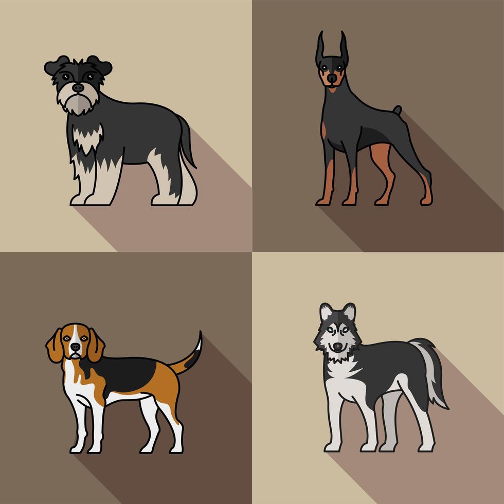 vier honden huisdieren mascottes fokken karakters vector