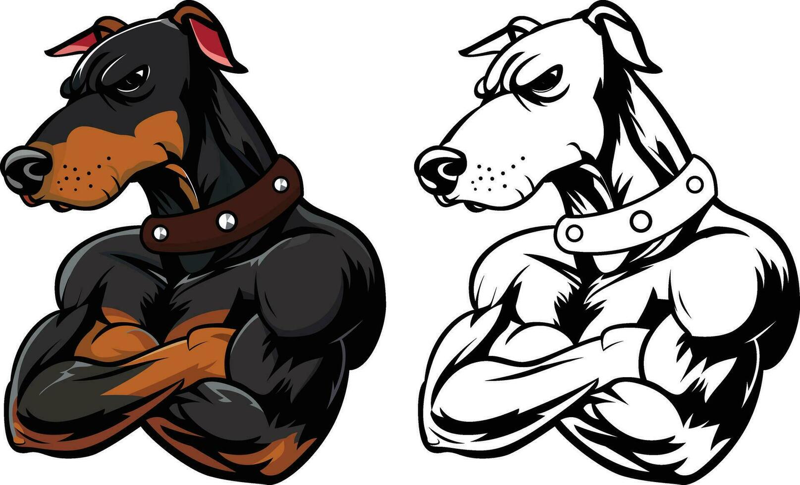 taai doberman pinscher bewaker hond vector illustratie, taai bewaker doberman of dobie hond armen gekruiste Aan borst vector afbeelding, gekleurde en zwart en wit mascotte karakter logo sjabloon
