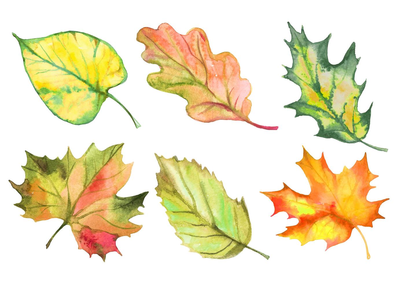 set aquarel herfstbladeren. vector