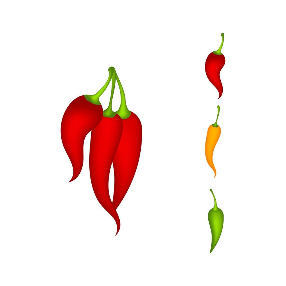 rode hete natuurlijke chili pictogram vectorillustratie vector